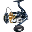 【シマノ(SHIMANO)】19 ステラ SW 10000PG STELLA SW