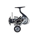   C(Daiwa) 21Ze[g SW 6000-XH