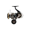 【ダイワ(Daiwa)】22カルディアSW 8000-H