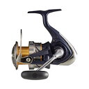 y_C(Daiwa)z20NXg LT6000-H