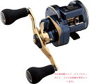 【ダイワ(Daiwa)】21ソルティガIC 100PL−DH 両軸リール