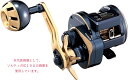 【ダイワ(Daiwa)】21ソルティガIC 100L 両軸リール