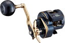 【ダイワ(Daiwa)】21ソルティガIC 300 両軸リール
