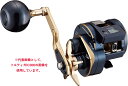 【ダイワ(Daiwa)】21ソルティガIC 300L 両軸リール