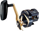 【ダイワ(Daiwa)】21ソルティガIC 300H−SJ 両軸リール