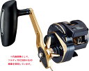 【ダイワ(Daiwa)】21ソルティガIC 300HL−SJ 両軸リール