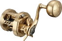 【ダイワ(Daiwa)】21バサラ 200L 両軸リール