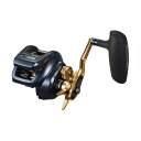 【ダイワ(Daiwa)】ティエラLJ IC200L 両軸リール