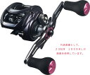 【ダイワ(Daiwa)】23紅牙 100L 両軸リール