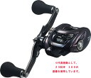 【ダイワ(Daiwa)】23紅牙 100XH 両軸リール