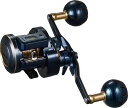 【ダイワ(Daiwa)】21ソルティガIC 100HL−DH 両軸リール