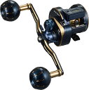【ダイワ(Daiwa)】21ソルティガIC 300−DH 両軸リール