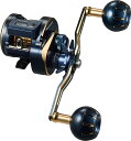 【ダイワ(Daiwa)】21ソルティガIC 300L−DH 両軸リール
