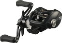 【ダイワ(Daiwa)】24タトゥーラ TW 100 ベイトキャスティングリール