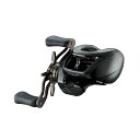 【ダイワ(Daiwa)】24スティーズSV TW 100H ベイトキャスティングリール