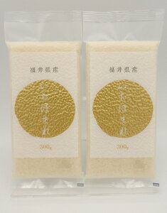【福井県産いちほまれ (平袋真空) 300g 2袋セット】≪ご注意≫当商品は 300g/袋 を 2袋 まとめた商品です。国産米 いちほまれ コシヒカリ 福井産 グルメ食品 おにぎり コメ