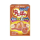 白元　湯たんぽ アイテム口コミ第10位