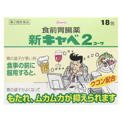 【第2類医薬品】興和新薬　新キャ