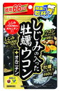 井藤漢方 しじみの入った 牡蠣ウコン オルニチン (264粒) 牡蠣エキス カキエキス ※軽減税率対象商品