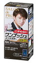 ダリヤ サロンドプロ ワンプッシュメンズカラー 6A 深みのあるアッシュブラウン 白髪用