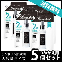 《セット販売》ランドリン柔軟剤クラシックフローラル大容量つめかえ用(960mL)×5個セット詰め替え用柔軟剤