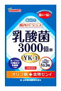 山本漢方　毎日の腸内バランス　乳酸菌粒　(90粒)　乳酸菌　サプリメント　※軽減税率対象商品