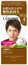 マンダム ルシード ワンプッシュケアカラー 4 ライトブラウン 男性用 白髪染め (1セット) 【医薬部外品】