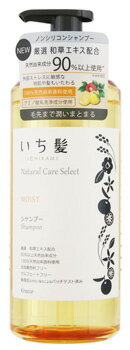 クラシエ　いち髪　ナチュラルケアセレクト　モイスト　シャンプー　ポンプ　(480mL)　Natural Care Select　ノンシリコン