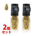 《セット販売》 コーセー ネイルホリック パーティーフレーク GD027 (5mL)×2個セット ネイルカラー NAILHOLIC