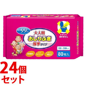 《セット販売》　大一紙工　水分99％　大人用おしりふき　厚手タイプ　(80枚入)×24個セット 1