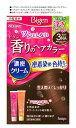 ホーユー ビゲン 香りのヘアカラー クリーム 明るいナチュラリーブラウン 3NA (1個) 白髪用 白髪染め 【医薬部外品】