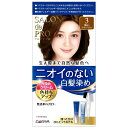 【特売】　ダリヤ サロンドプロ 無香料ヘアカラー 早染めクリーム 白髪用 3 明るいライトブラウン (1セット) 白髪染め　【医薬部外品】