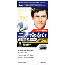 【特売】 ダリヤ サロンドプロ 無香料ヘアカラー メンズスピーディ 白髪用 6 自然な黒褐色 1個 男性用白髪染め 【医薬部外品】