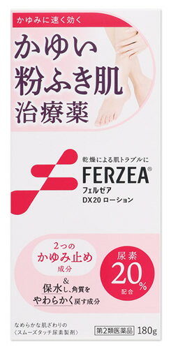  2ވi CI tF[ADX20 [V (180g) 䂢ӂÖ 畆p