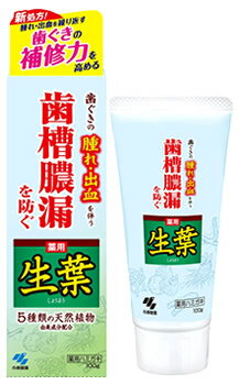 小林製薬 生葉d (100g) 生葉 薬用ハミガキ　【医薬部外品】のサムネイル