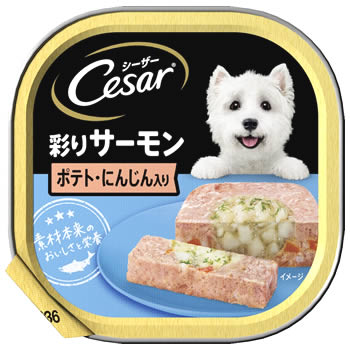 マースジャパン シーザー トレイ 成犬用 彩りサーモン ポテト にんじん入り (100g) ドッグフード ウェット