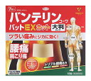 【第2類医薬品】興和 バンテリンコーワパットEXホット 大判サイズ (7枚) 温感プラスター 【セルフメディケーション税制対象商品】