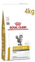 CJi Lp i[S/O It@Ng[ Cg hC (4kg) Lbgt[h HÖ@H ROYAL CANIN