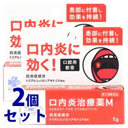 【第(2)類医薬品】《セット販売》　くらしリズム メディカル 口内炎治療薬M (5g)×2個セット 口腔用軟膏　【セルフメディケーション税制対象商品】　【送料無料】　【smtb-s】