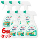 《セット販売》　ピジョン 哺乳びん洗い かんたん泡スプレー (270mL)×6個セット ベビー用食器洗剤 台所用洗剤