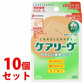 ニチバン ケアリーブ 治す力 ビッグサイズ 5枚入×2個セット「メール便送料無料(A)」