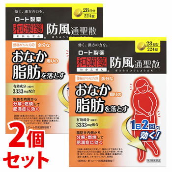 【第2類医薬品】ビスラットグランEX 防風通聖散錠 252錠×2個 [宅配便・送料無料]