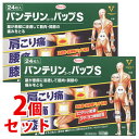 【第2類医薬品】《セット販売》 興和 バンテリンコーワ パップS (24枚)×2個セット 外用鎮痛消炎薬 【セルフメディケーション税制対象商品】
