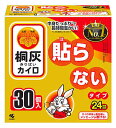 小林製薬 桐灰カイロ はらない 函入 (30個) 使いすてカイロ