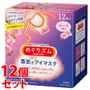 《セット販売》　花王 めぐりズム 