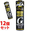 《セット販売》 古河薬品工業 エンジンシステムリカバリーG 63-017 (300mL)×12個セット ガソリン車用 燃料添加剤 【送料無料】 【smtb-s】