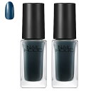 《セット販売》 コーセー ネイルホリック BL935 アヤメ (5mL)×2個セット ネイルカラー マニキュア NAIL HOLIC