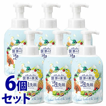 《セット販売》　ウィルミナ 世界の果実 すっきり泡洗顔 (500mL)×6個セット 洗顔フォーム　【送料無料】　【smtb-s】