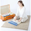 東和産業 VO 押すだけ衣類圧縮パック L 約45×55cm (2枚) 旅行 出張 トラベルグッズ TOWA