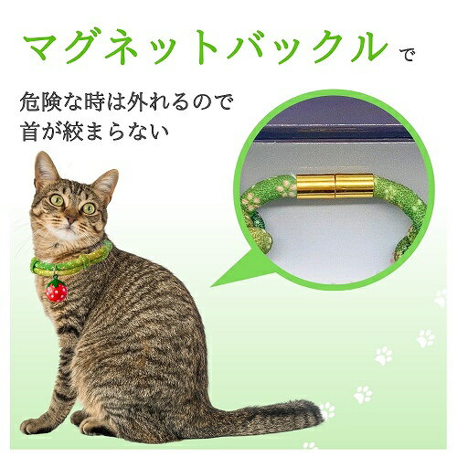 アースペット ねこモテ 抹茶みるくアクセカラー 緑 (1個) ソフト丸紐マグネットバックル付 アクセサリー首輪 猫用首輪